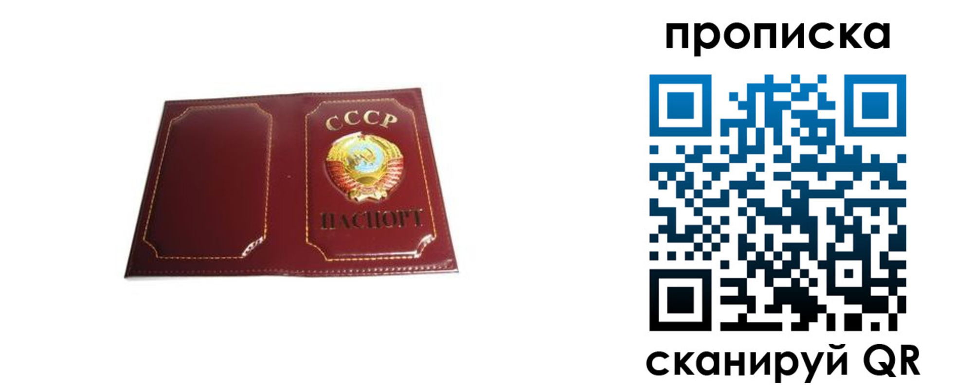 прописка гарантия в Куровском